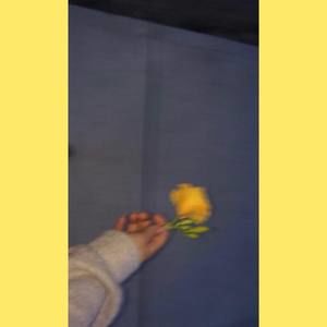 Meet your Posher, Ava